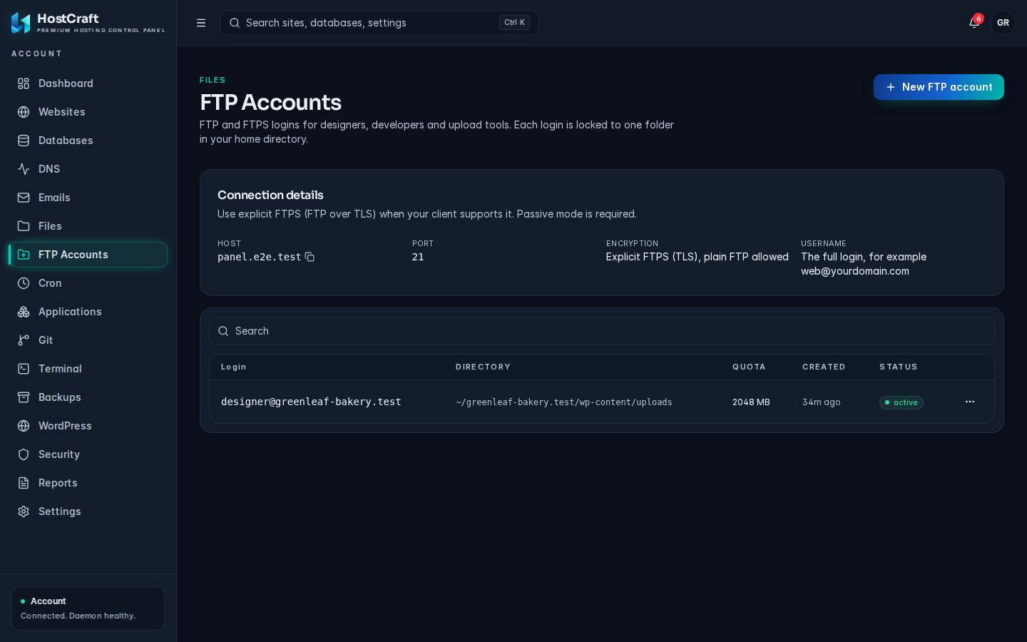 FTP Accounts page with the Connection details card and one FTP login